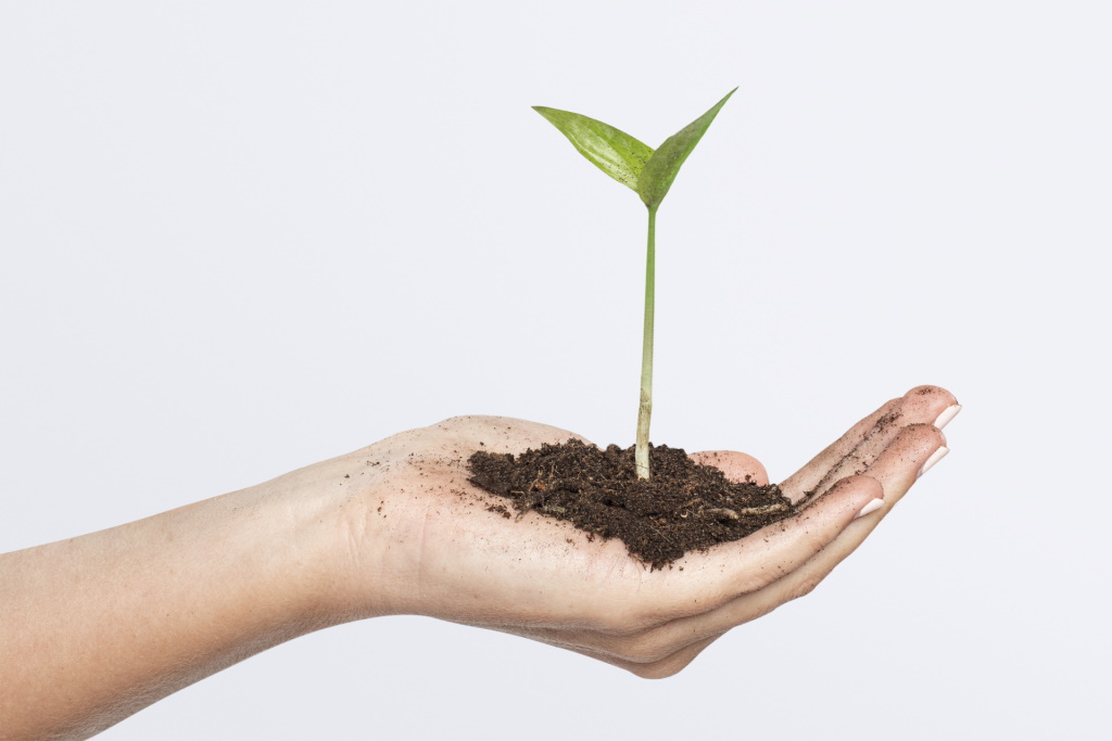 Bodenhilfsstoff Harmi Soil mit Pflanze